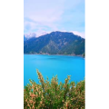 旅行风景1606