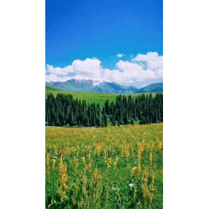 旅行风景1618