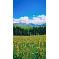 旅行风景1618