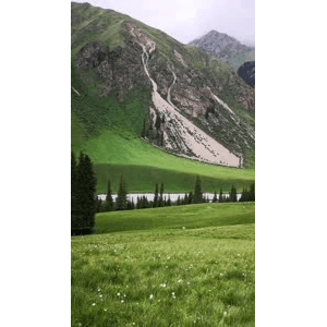旅行风景1623