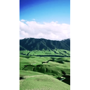 旅行风景1628