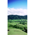 旅行风景1628