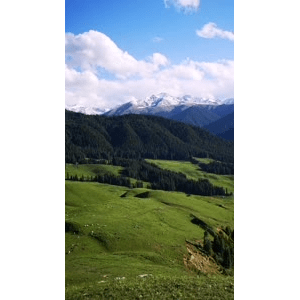 旅行风景1635