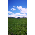 旅行风景1637
