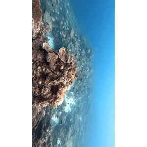 旅行风景1639
