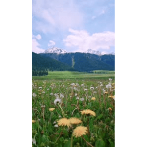 旅行风景1651