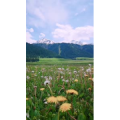 旅行风景1651