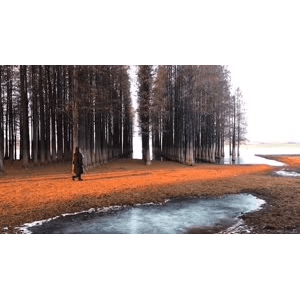 旅行风景1652