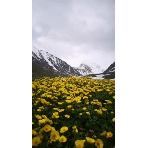 旅行风景1653