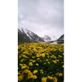 旅行风景1653