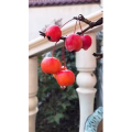 旅行风景1665