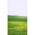 旅行风景1668