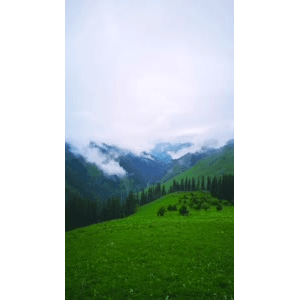 旅行风景1673