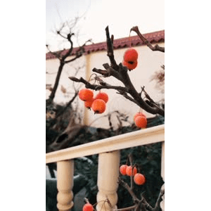 旅行风景1676