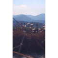 旅行风景1677