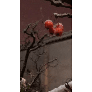 旅行风景1680