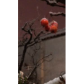 旅行风景1680