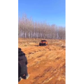 旅行风景1681