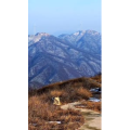 旅行风景1684
