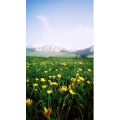 旅行风景1687