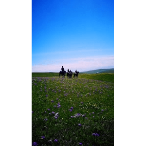 旅行风景1689