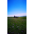 旅行风景1689