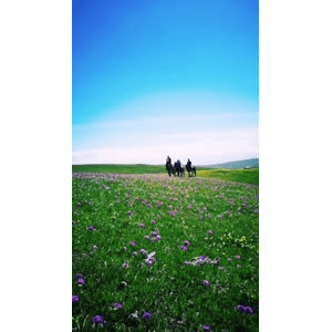 旅行风景1692