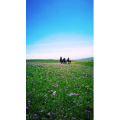 旅行风景1692
