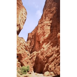 旅行风景1695
