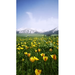 旅行风景1699
