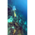 旅行风景1709