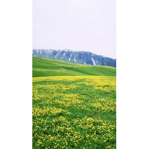 旅行风景1710