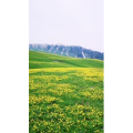 旅行风景1710