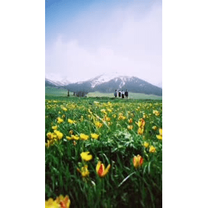 旅行风景1713