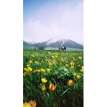 旅行风景1713