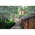 旅行风景1718