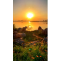 旅行风景1722