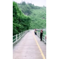 旅行风景1765