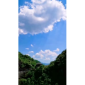 旅行风景1772
