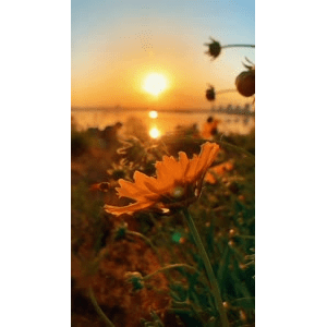旅行风景1816