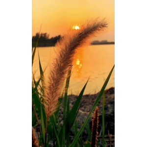 旅行风景1829
