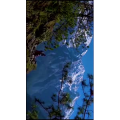 旅行风景1854