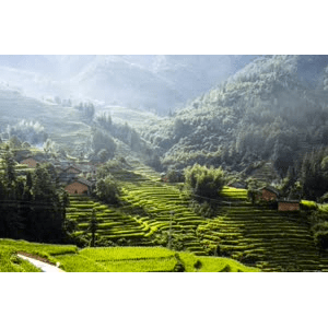 旅行风景1855