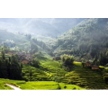 旅行风景1855