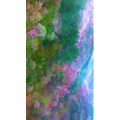旅行风景1856