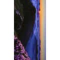 旅行风景1875