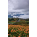 旅行风景1892