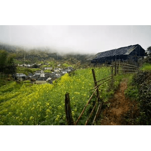 旅行风景1903