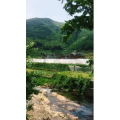 旅行风景1909