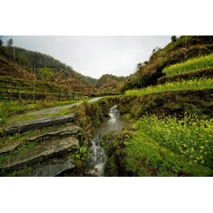 旅行风景1931